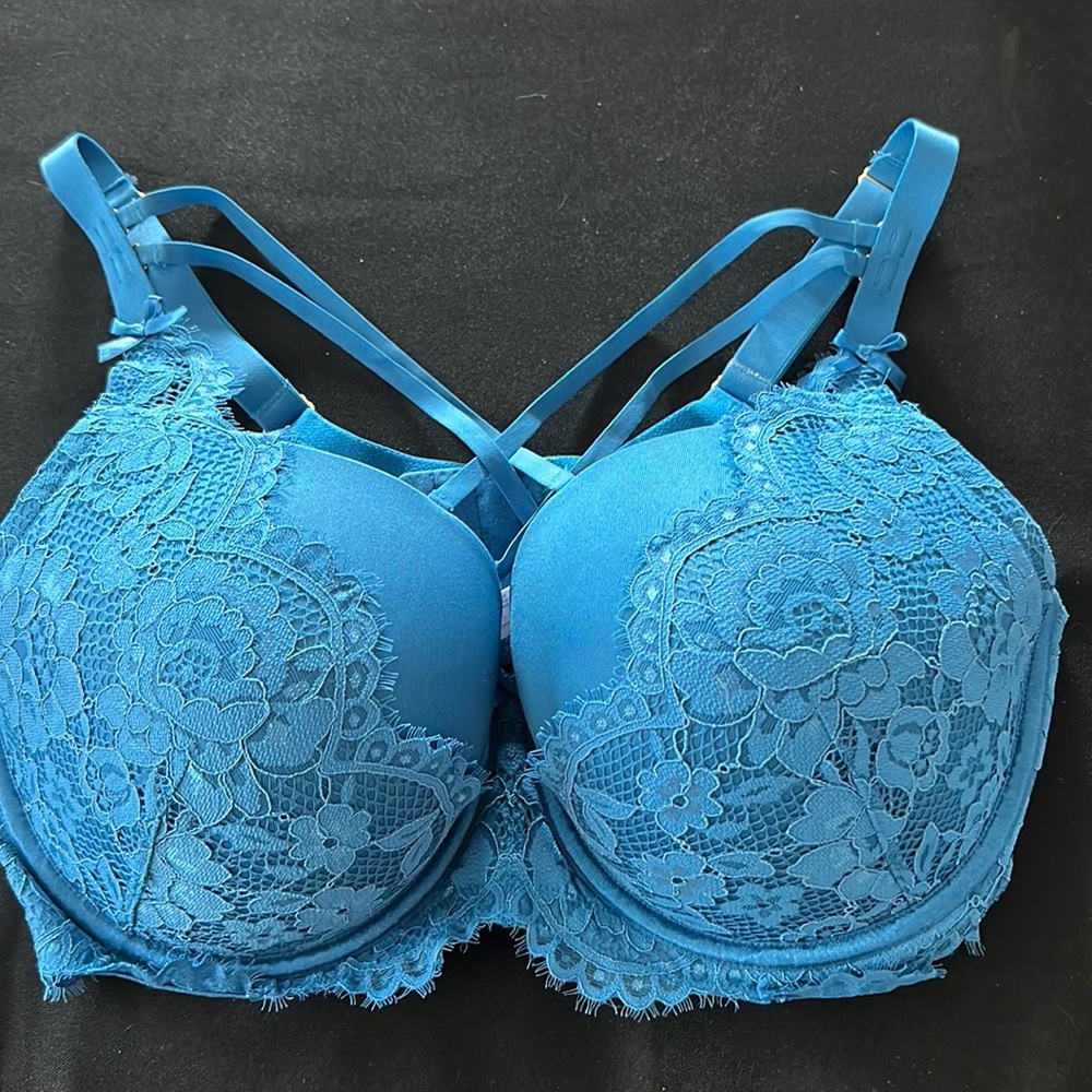 Sexy lined blue lane Bryant bra